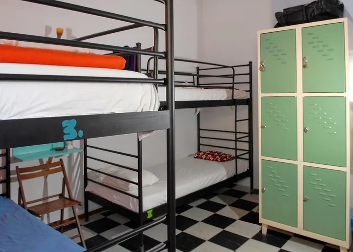 Chameleon Youth Hostel