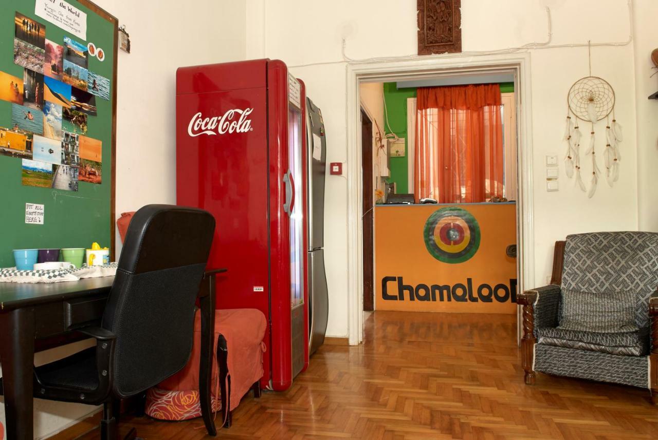 Auberge de jeunesse Chameleon Youth